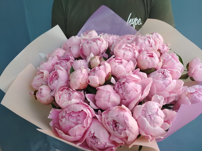 Букет из 15 нежно-розовых пионов