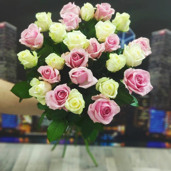 25 роз бело-розовых 80 см (Россия)