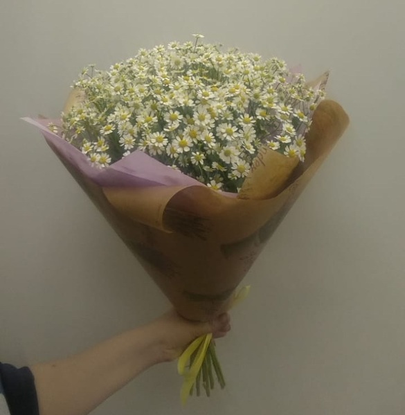 Букет 25 кустовых ромашек