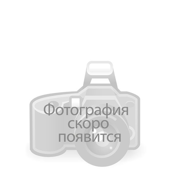 25 роз 40 см — тропик версилия, Эквадор