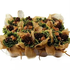 Селагинелла Микс в