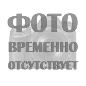 Драцена Фрагранс Джанет Крейг разветвленная