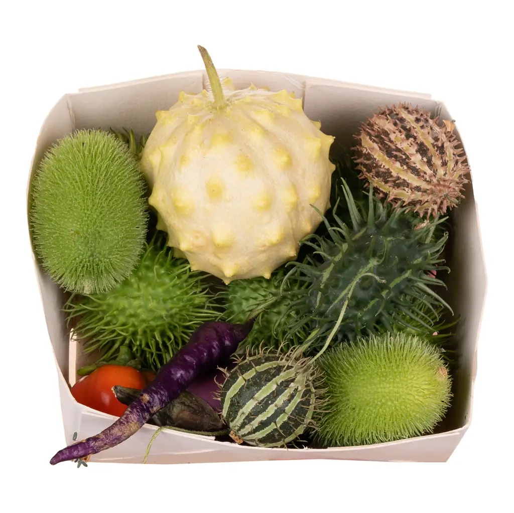 Кукумис микс